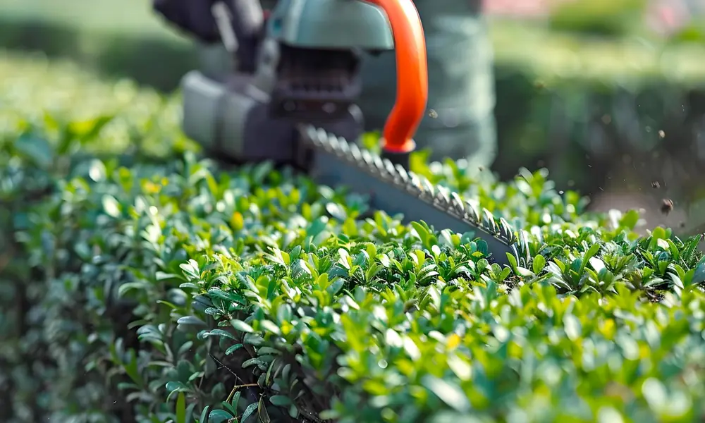élagueur professionnel travaillant sur un arbre